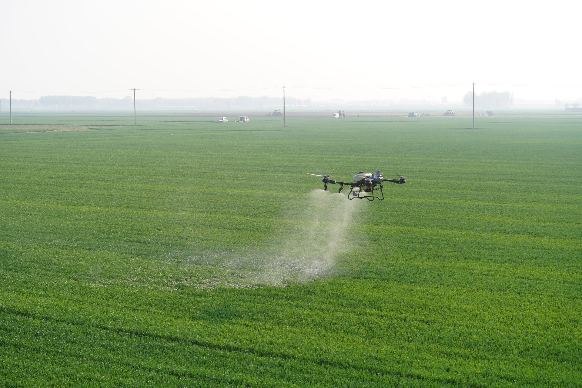 Agricultural drone spraying