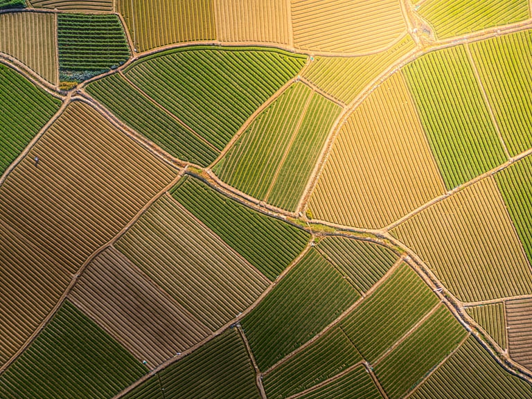 Large agricultural farmland aerial view