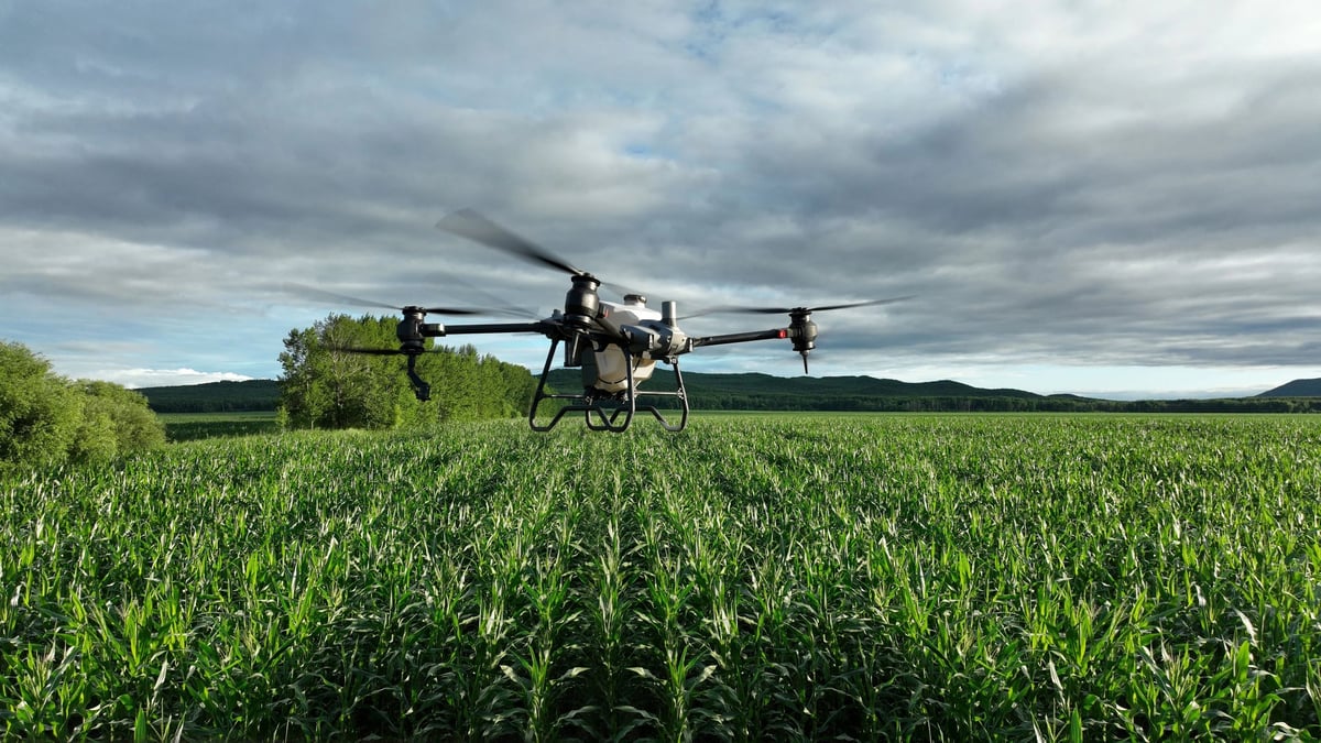 Agricultural drone hovering over a green cornfield under cloudy skies